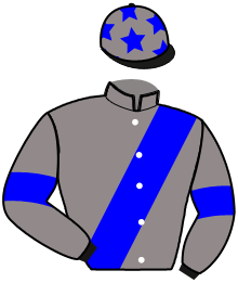 Casaque de Ecurie Louis JUBLOT