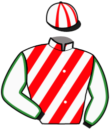 Casaque de Ecurie de la VERDERIE