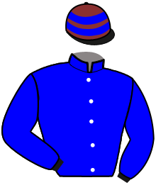 Casaque de Ecurie TH ROUSSEL