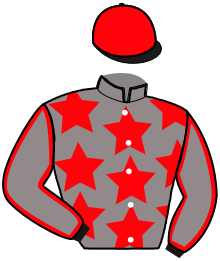 Casaque de Ecurie MIL'STUD