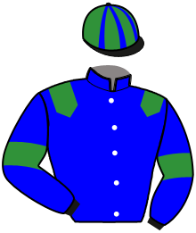 Casaque de Ecurie SAINT LEONARD