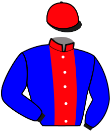 Casaque de Ecurie de MO