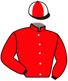 Casaque de F. LEMOINE