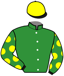 Casaque de Ecurie Sébastien HOUYVET