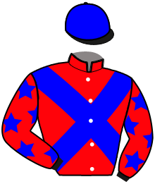 Casaque de Ecurie Alexandre DE JESUS