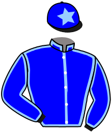 Silks