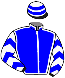 Silks