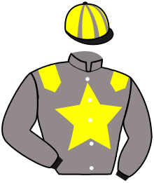 Silks