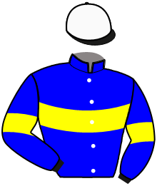 Silks
