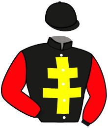 Silks
