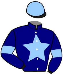 Silks