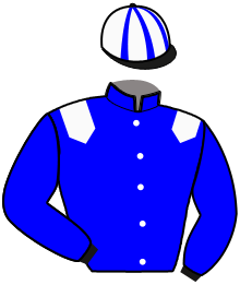 Silks