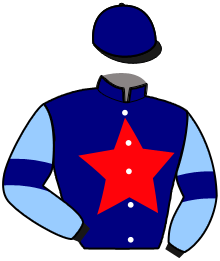 Silks
