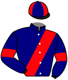 Silks