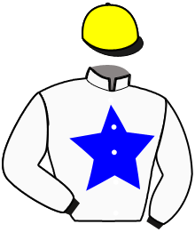 Silks