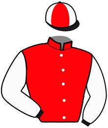 Silks