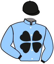 Silks
