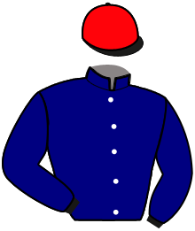 Colori