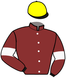 ألوان الفارس