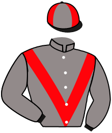 Silks