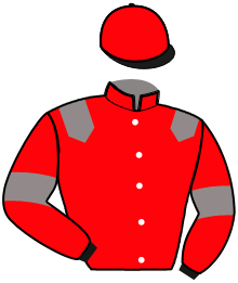 ألوان الفارس