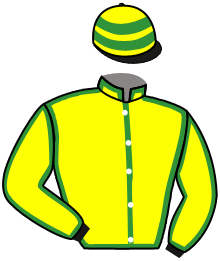 Silks