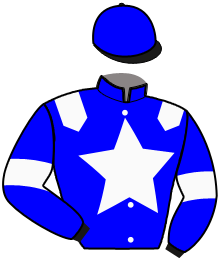 Silks