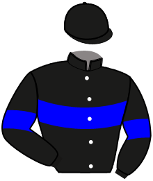 Silks