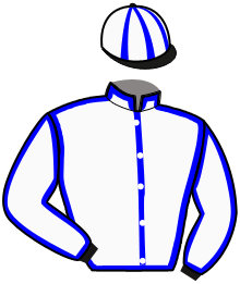 Silks