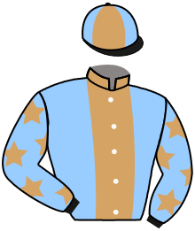 Silks