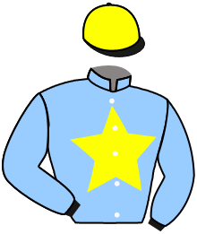Silks