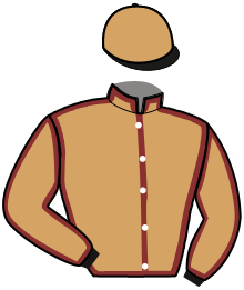 Casaque