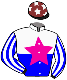 Silks