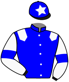 Silks