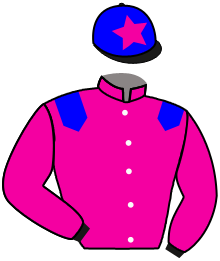 Silks