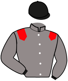 Silks