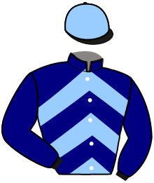 Silks