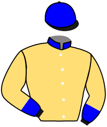 Silks