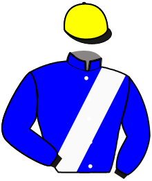 Silks