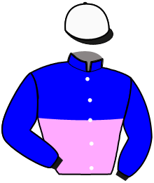 Silks