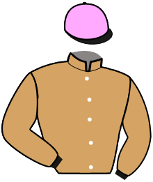Casaque